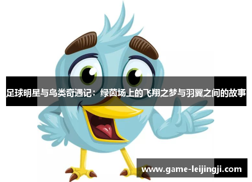 足球明星与鸟类奇遇记：绿茵场上的飞翔之梦与羽翼之间的故事