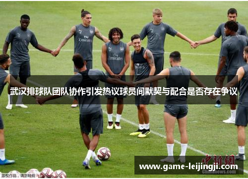 武汉排球队团队协作引发热议球员间默契与配合是否存在争议