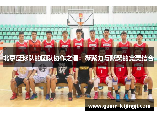 北京篮球队的团队协作之道：凝聚力与默契的完美结合