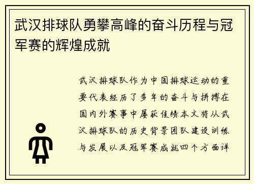 武汉排球队勇攀高峰的奋斗历程与冠军赛的辉煌成就