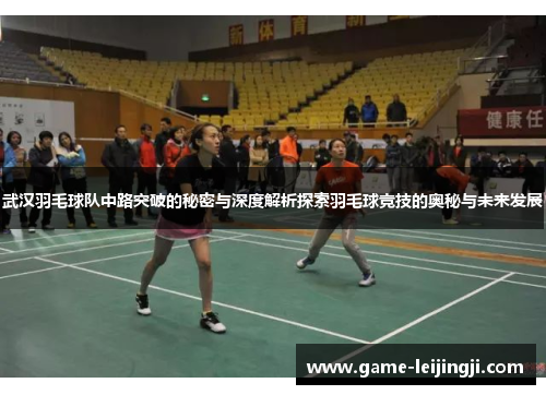 武汉羽毛球队中路突破的秘密与深度解析探索羽毛球竞技的奥秘与未来发展