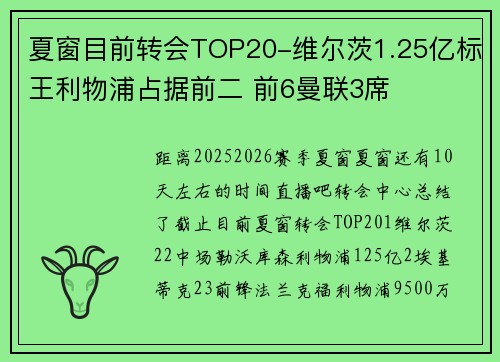 夏窗目前转会TOP20-维尔茨1.25亿标王利物浦占据前二 前6曼联3席